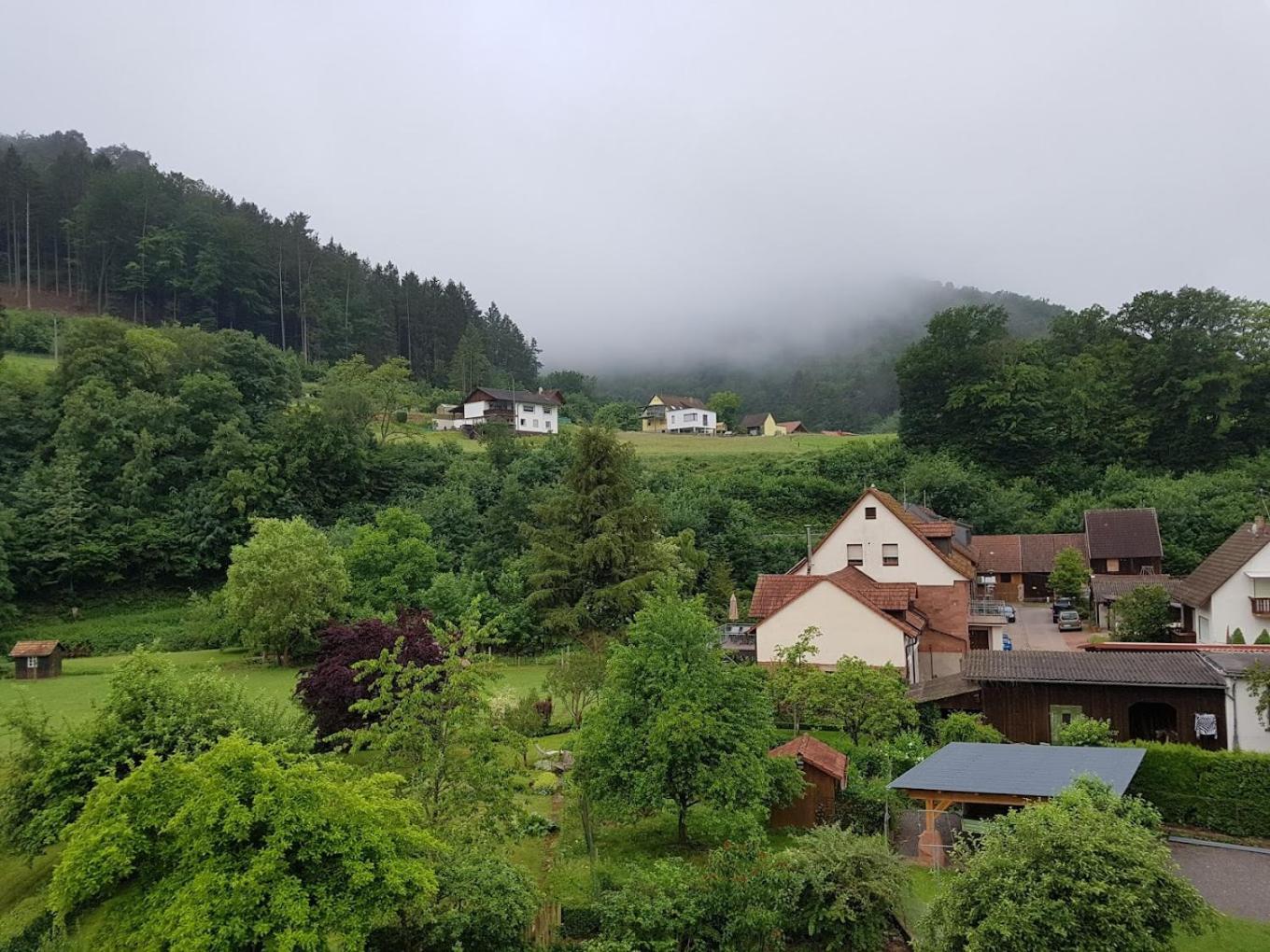 Landhotel Zur Wegelnburg Schonau  Экстерьер фото