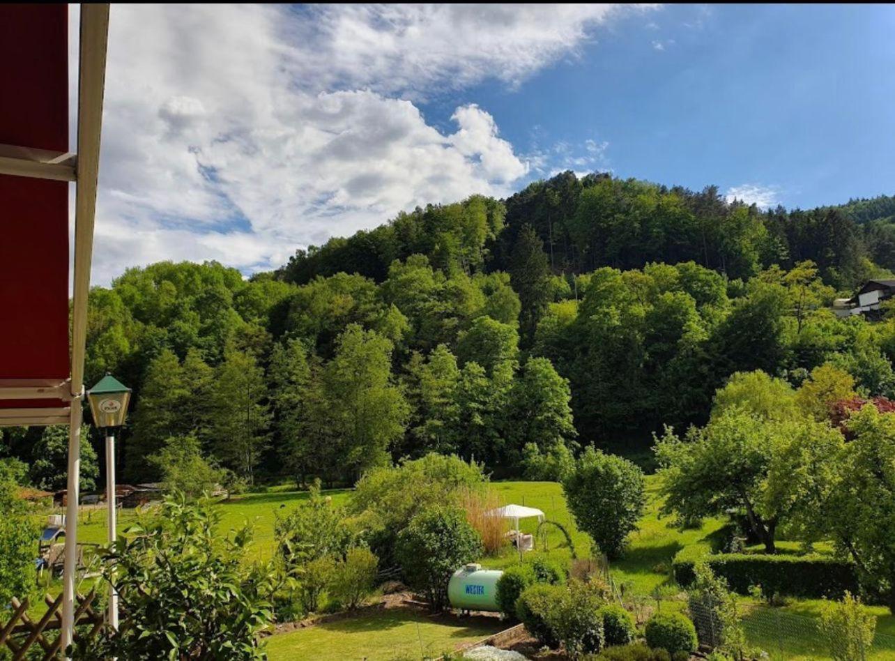 Landhotel Zur Wegelnburg Schonau  Экстерьер фото